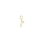pendente-em-ouro-amarelo-dryzun-093036-m1