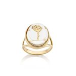 anel-ouro-amarelo-e-cristal-o-pequeno-principe-redoma-085632-01