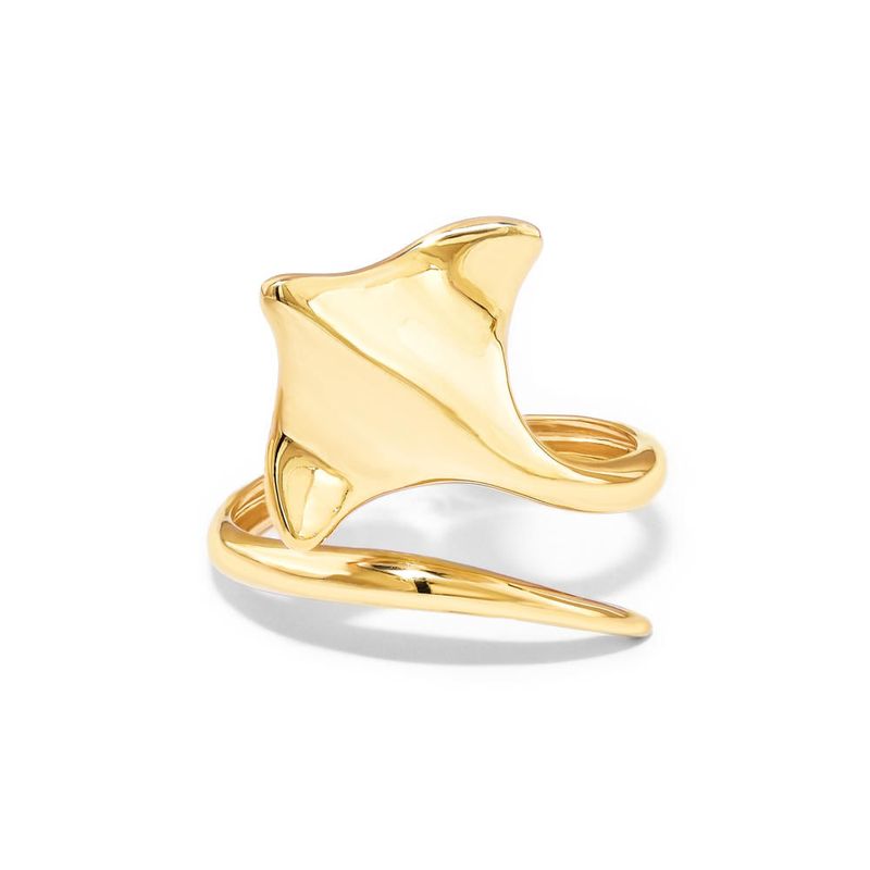 anel em ouro amarelo - arraia-098045-01