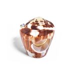 anel em ouro amarelo com topazio azul - in natura concha natural-098210-02